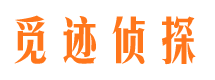 原阳侦探公司